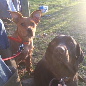 Meet your Posher, Carlee